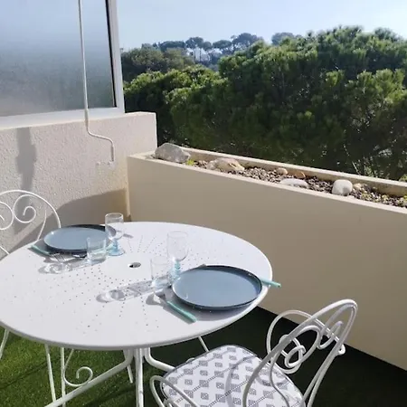 Apartment Piscine Wifi *