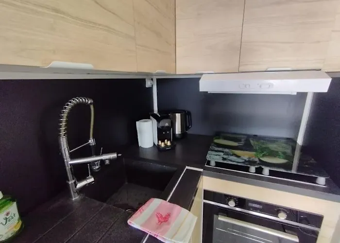 Lejlighed Piscine Wifi Antibes